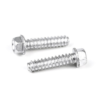25mm ヘクサゴンヘッド 自己タッピングスクリュー Sus316 パラフーソ オートアタラキサンテ