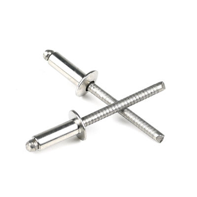 スタッドレスタイヤドーム対沈着頭ブラインドリベット304/316のカスタマイズされたサポート