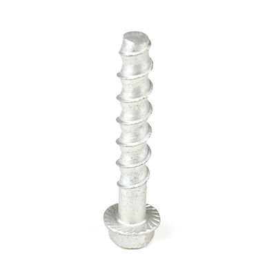 M12 90mm ステンレス 鋼 ヘックス フレンズ コンクリート アンカー用のメーニング スクロール 支払期間 T/T